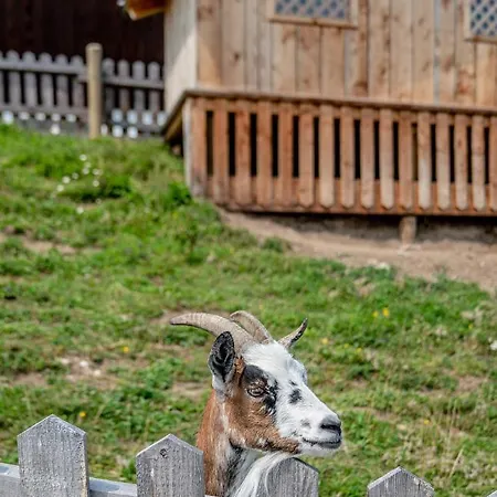 Hotell Sonnschupfer 4*