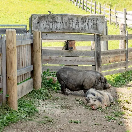 Sonnschupfer 4* Schladming