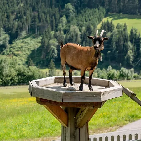 Ξενοδοχείο Sonnschupfer