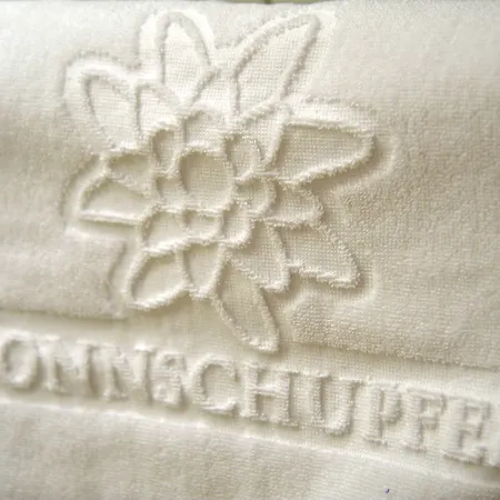 Sonnschupfer Hotell Schladming