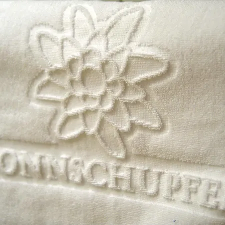 Sonnschupfer Hotel Schladming