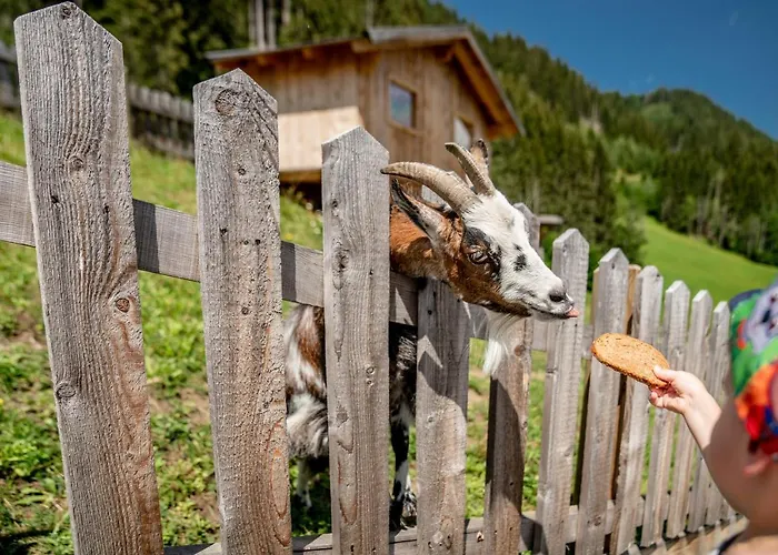 Szálloda Sonnschupfer Schladming